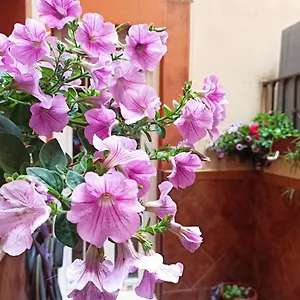  Apartamento La Reina España