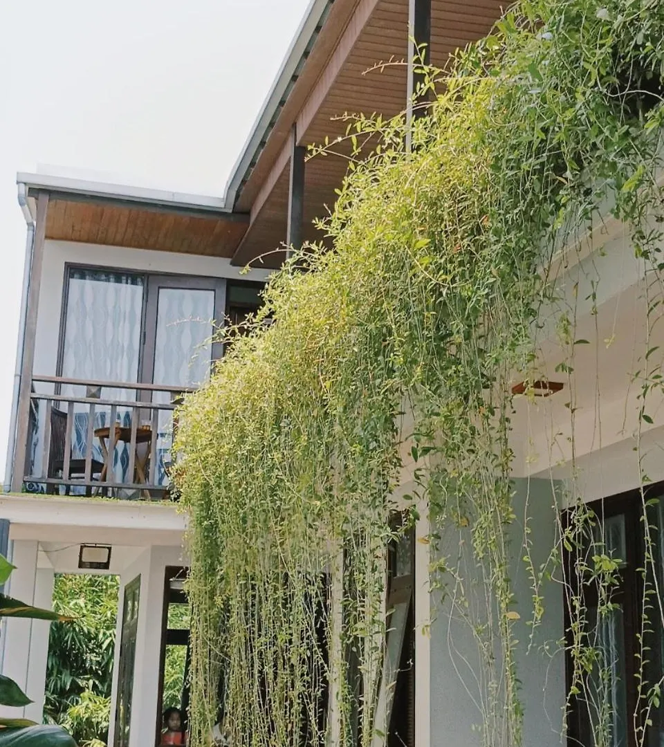 Riverside Plum Garden Homestay Hoi An