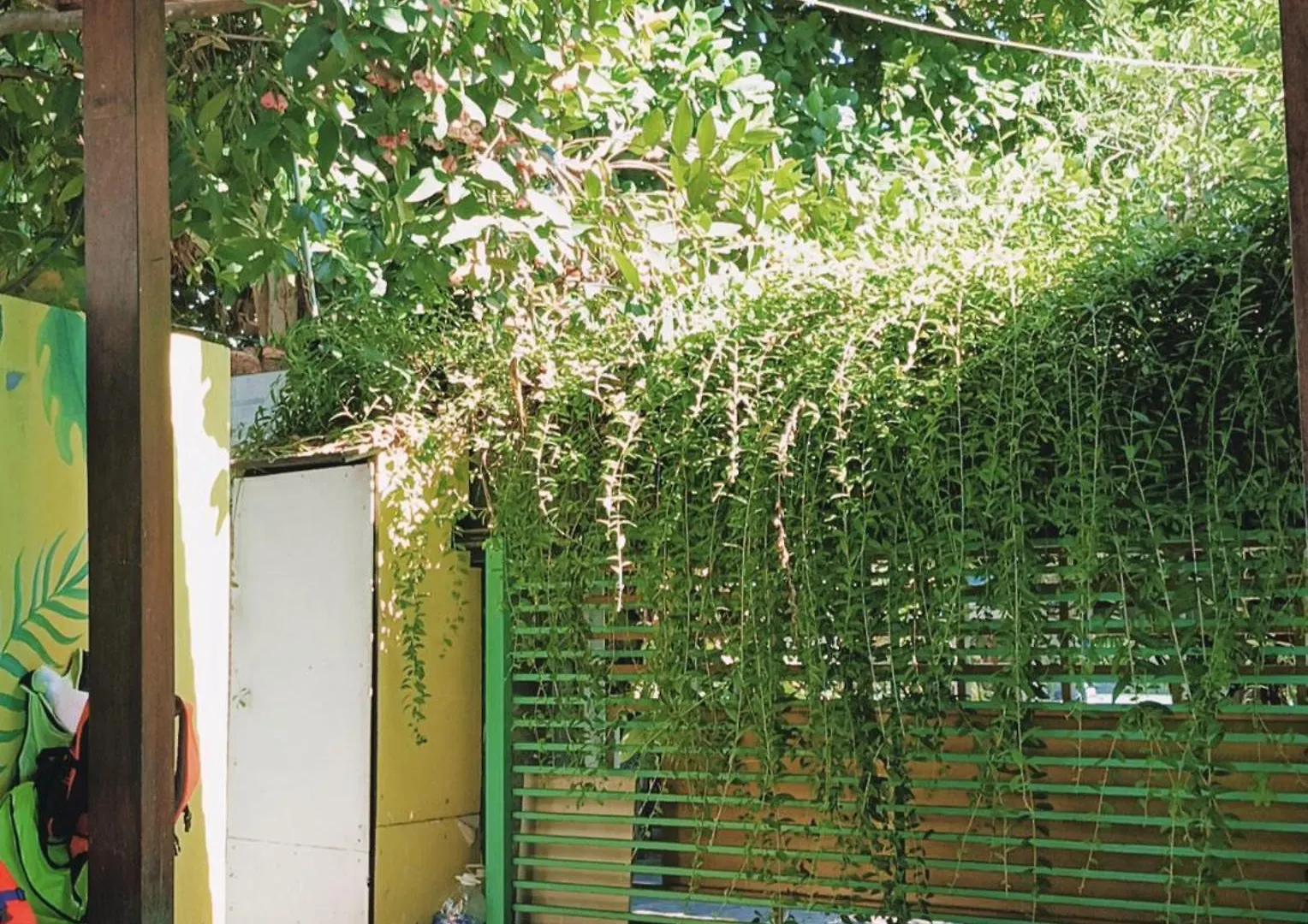 Riverside Plum Garden Homestay Hoi An